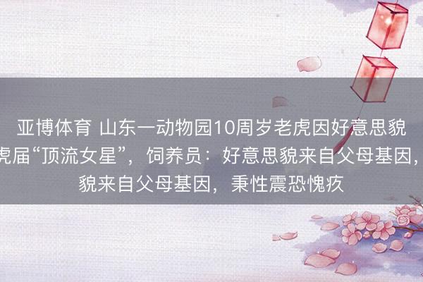 亞博體育 山東一動物園10周歲老虎因好意思貌火出圈，被稱虎屆“頂流女星”，飼養員：好意思貌來自父母基因，秉性震恐愧疚