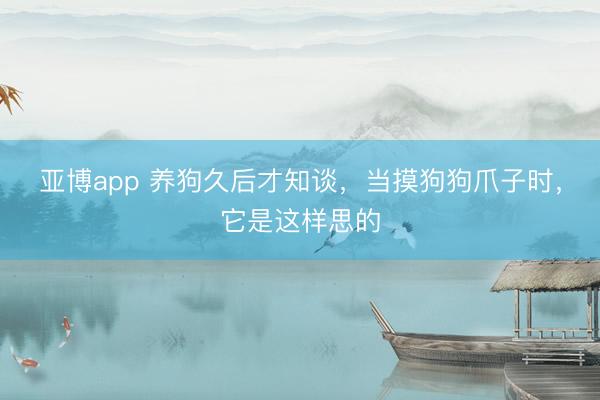 亞博app 養(yǎng)狗久后才知談，當摸狗狗爪子時，它是這樣思的