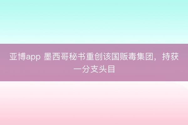 亞博app 墨西哥秘書重創該國販毒集團，持獲一分支頭目