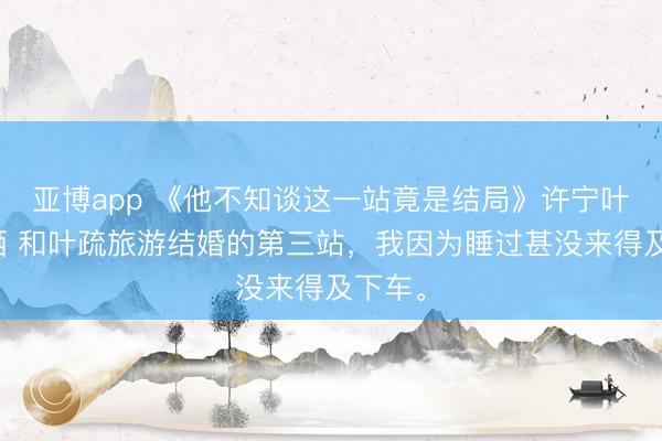 亞博app 《他不知談這一站竟是結局》許寧葉疏林棲 和葉疏旅游結婚的第三站，我因為睡過甚沒來得及下車。
